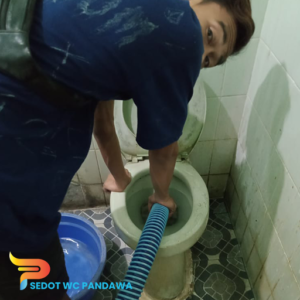 Cara Terbaik Mengatasi Masalah WC Mampet
