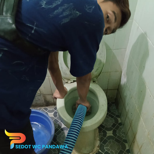 Cara Terbaik Mengatasi Masalah WC Mampet